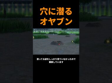 大切なドリュウズがダメかも個体でショック!!個体値にこだわりを見せて捕獲中 ポケモンZA #shorts