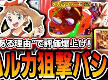 【評価急上昇】〝とある理由〟により≪ハルカクイタランバシャーモ≫が環境にぶっ刺さってるので紹介します【ポケポケ/メガライジング】