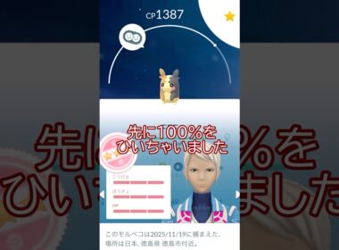 👼個体値100％👿モルペコ⚡強化PL40まで #ポケモンgo #pokemongo #pokemongoshorts