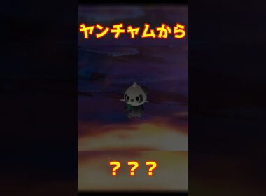 ヤンチャム進化 #ポケモンza #shorts