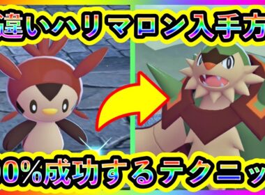 【ポケモンZA】激レアの色違いハリマロン＆ブリガロンを最速でGETするテクニックを解説！【ポケモンレジェンズZA】