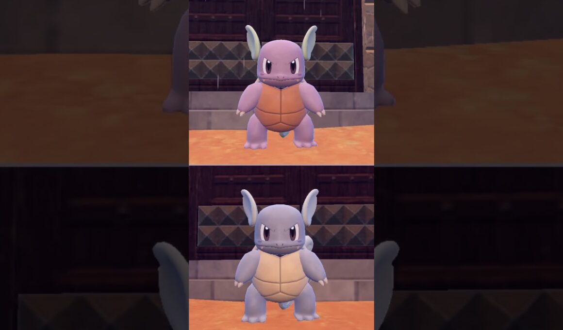 #カメール  #wartortle  #pokemonscarletandviolet