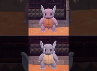 #カメール  #wartortle  #pokemonscarletandviolet