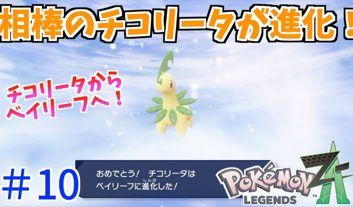 相棒のチコリータがベイリーフに！仲間が進化のオンパレード！！【ポケモンレジェンズZ-Aパート10】