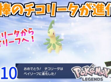 相棒のチコリータがベイリーフに！仲間が進化のオンパレード！！【ポケモンレジェンズZ-Aパート10】