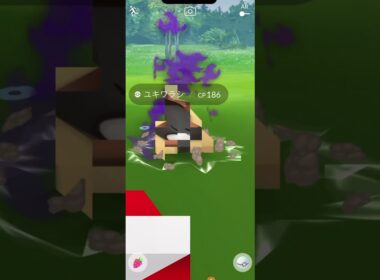 ポリゴンショックの再来!?                            【ユキワラシショック】　#ポケモン #ポケモンgo #メキパラゲームズ
