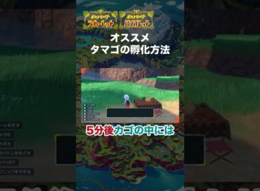 【ポケモンSV】オススメのタマゴ孵化方法 #ポケモン #shorts