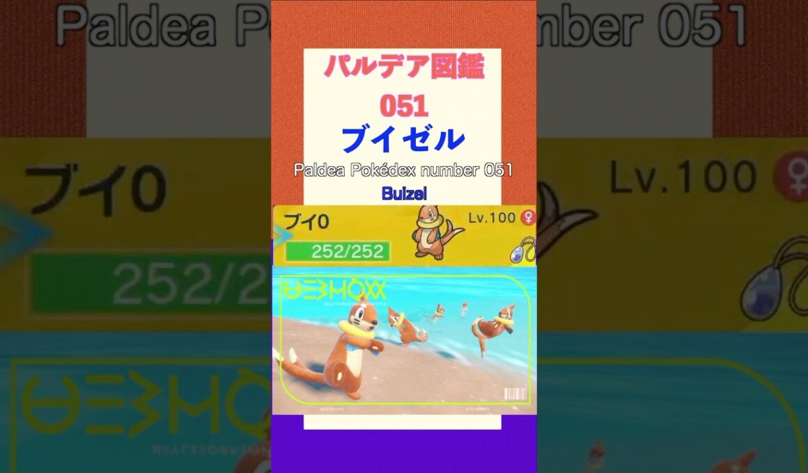 ポケモンSV パルデア図鑑051　ブイゼル　レベル100 #shorts