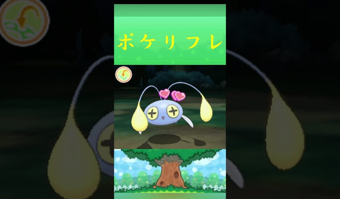 ポケモン チョンチー ポケリフレ ポケパルレ #ポケモン #Pokemon  #3DS #ポケモン技 #ポケモンsv #ポケモン#キャンプ #カレー #サンドイッチ #ピクニック