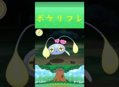 ポケモン チョンチー ポケリフレ ポケパルレ #ポケモン #Pokemon  #3DS #ポケモン技 #ポケモンsv #ポケモン#キャンプ #カレー #サンドイッチ #ピクニック