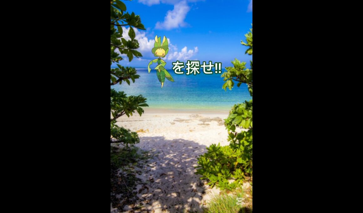 ハハコモリを探せ!!中級☺️#ポケモン #shorts #ポケモンクイズ