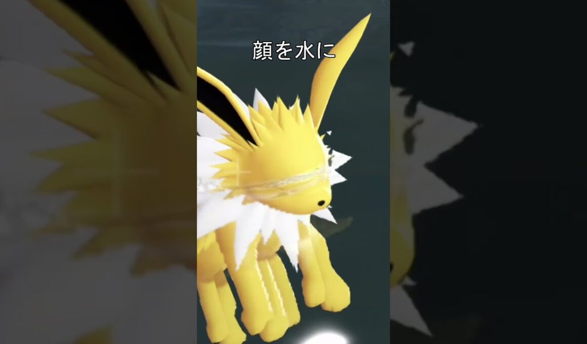 イーブイ水中で寝る #ポケモン #ポケモンza #イーブイ