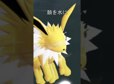 イーブイ水中で寝る #ポケモン #ポケモンza #イーブイ