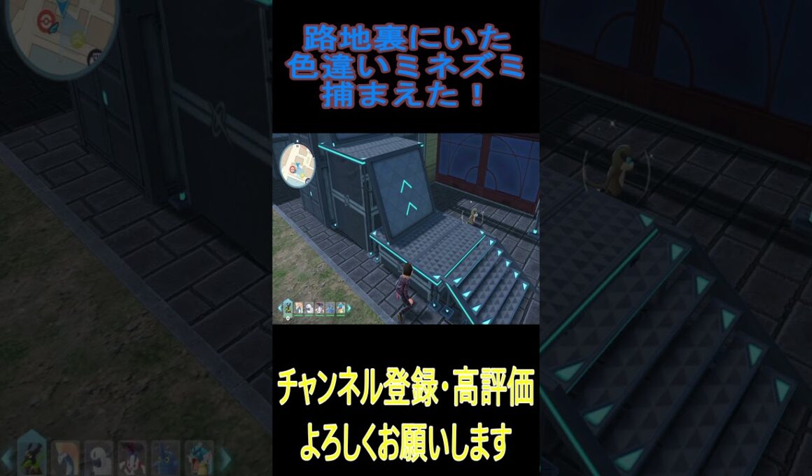 路地裏にいた色違いミネズミ捕まえた！ #pokemon #ポケモンza #色違い