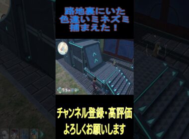 路地裏にいた色違いミネズミ捕まえた！ #pokemon #ポケモンza #色違い