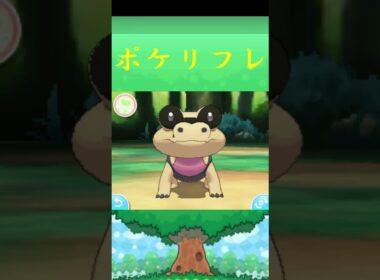 メグロコ*ポケモン ポケリフレ ポケパルレ #ポケモン #Pokemon  #3DS #nintendoswitch #ポケモンsv #ポケモン #キャンプ #サンドイッチ #ピクニック