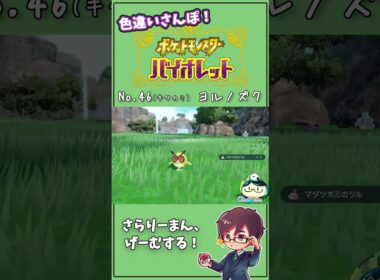 サトシカラー！進化したら強くなるよね？ キタカミNo.46 ヨルノズク　#Shorts #ポケモン #ポケモンsv