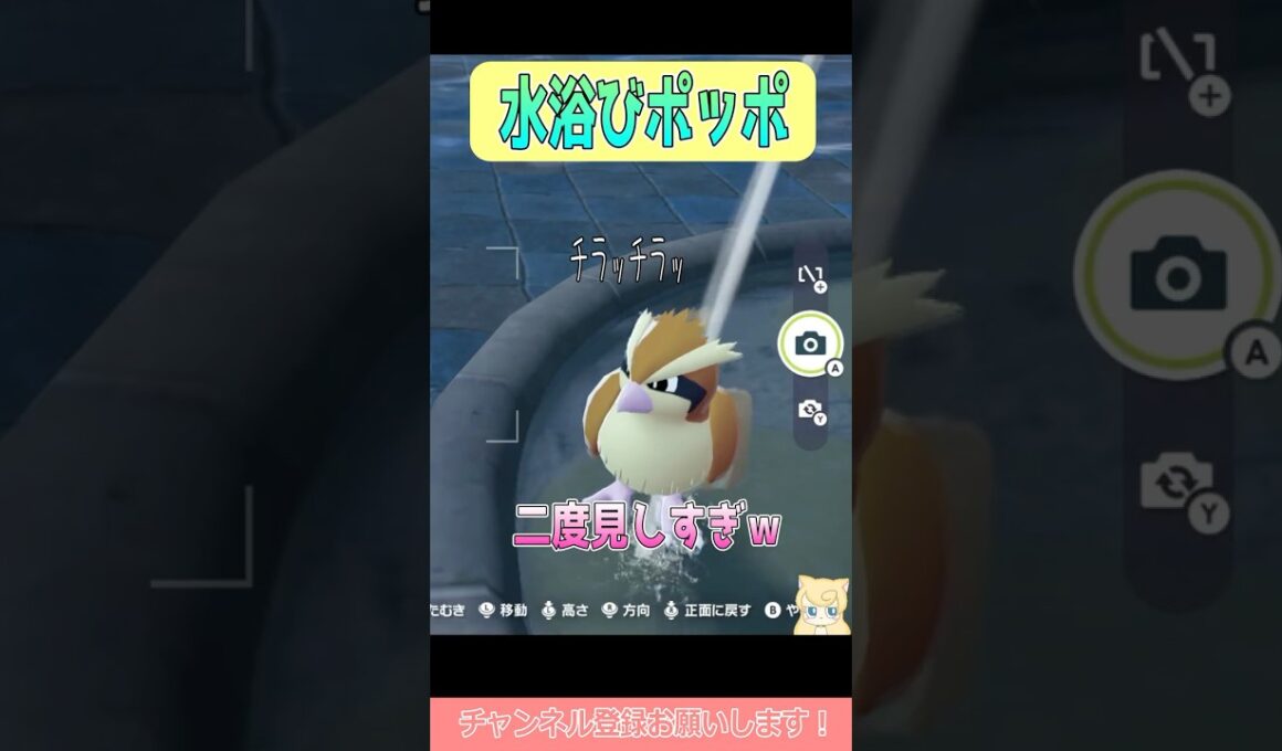 【ポケモンZA】ノコちゃんが気になるポッポちゃん #shorts #ポケモンレジェンズ #ポケモンレジェンズza #ポケモン #ワニノコ #ポッポ