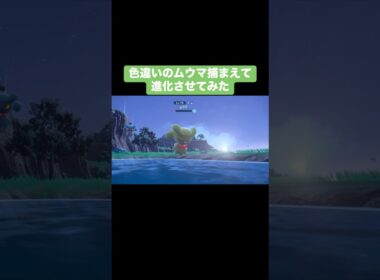 色違いのムウマ捕まえて進化させてみた