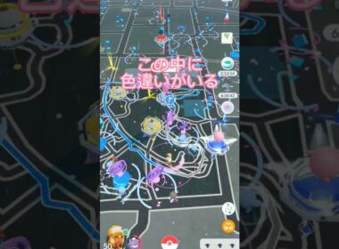 【ポケモンGO】色違いウパー探してみた！ #ポケモン #ウパー