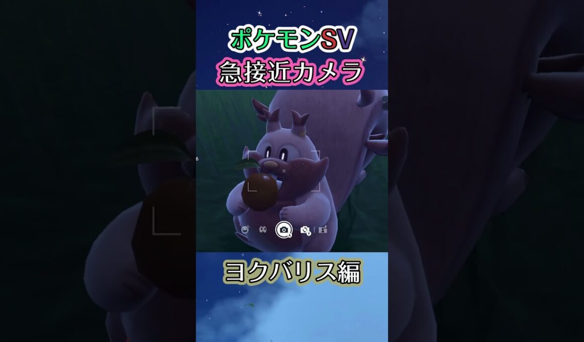 【ポケモンSV】ヨクバリスが無心に木の実を貪り食うのを眺めるだけの動画 #ポケモン #ポケモンsv #ヨクバリス #shorts