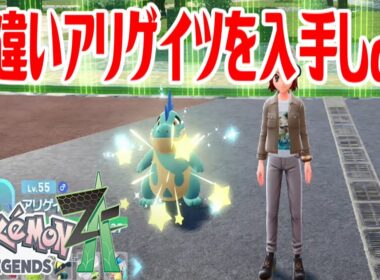 【ポケモンZ-A】色違いアリゲイツを入手しよう 進化入手【Pokémon LEGENDS Z-A】