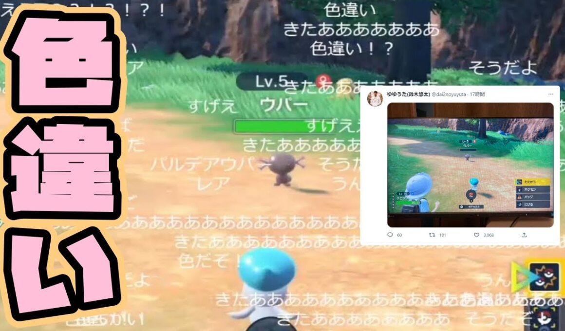 ゆゆうた、視聴者に騙される【2022/12/12】