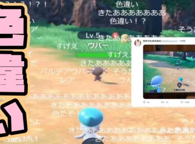 ゆゆうた、視聴者に騙される【2022/12/12】