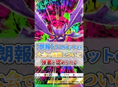 クロバットexさんついに強者と認められる