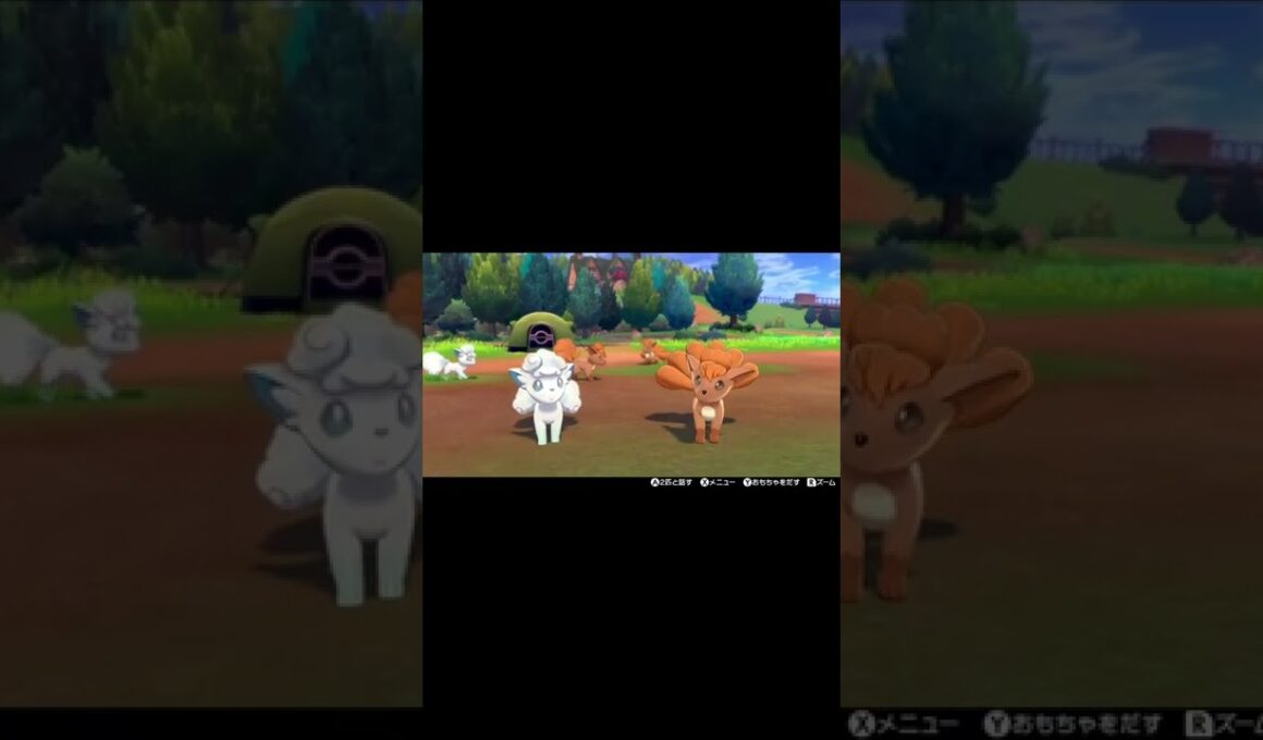 ロコンたちとのキャンプ