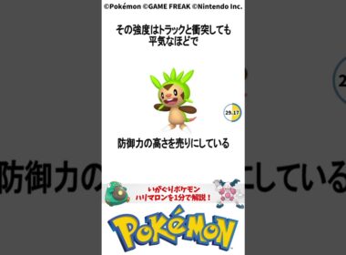 ポケモン 1分でわかるハリマロン Chespin Pokemon #解説 #知識 #雑学