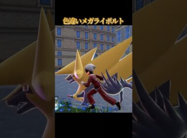 【黄色い閃光】色違いメガライボルトが好きなのって私だけですか？【ポケモンZA】#shorts #ポケモン #つっつー #pokemon