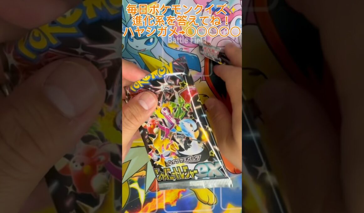 【毎日ポケモンクイズ】次の進化系をコメントで答えてね✨️ハヤシガメ→○○○○○#ポケモンカード #ポケカ開封 #ポケモン #ポケモンクイズ #1日1パック開封#ポケモンクイズ
