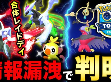 まさかの漏洩で重大情報が！合体キュレムにDホウオウとコミュデイまで判明！GOツアーカロス内容も公開で激ヤバ新情報まとめ【ポケモンGO】