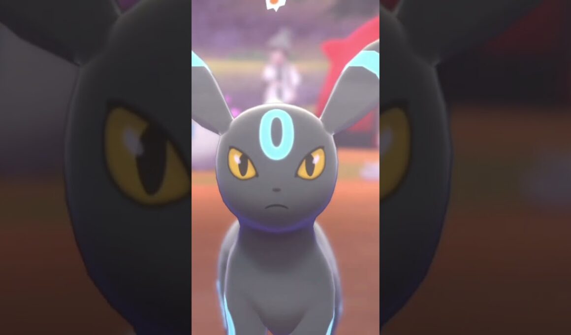 ブラッキーかっこよくてかわいい