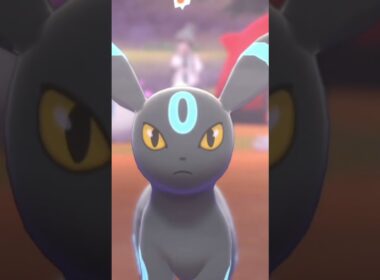 ブラッキーかっこよくてかわいい