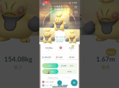 マクノシタ三兄弟