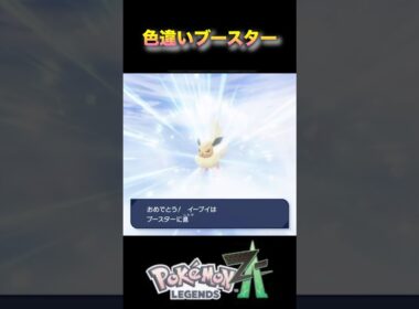 色違いイーブイをブースターに進化！あれ？どこが変わった？#ポケモンza #ポケモンレジェンズza #pokémonlegendsza #shinypokemon #色違い進化シリーズ