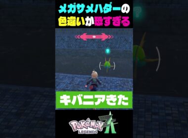 ポケモンza色違い厳選　メガシンカしたサメハダーがこわすぎる