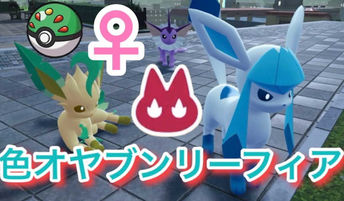 ♀色違いオヤブンリーフィアをフレボで厳選！【ポケモンレジェンズZA】【イーブイの日】
