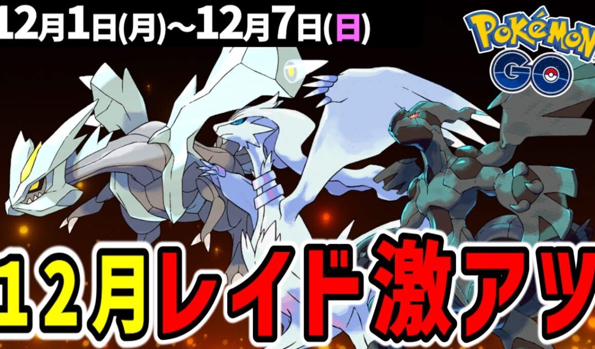 12月は伝説レイドをガチれ！キュレム、レシラム、ゼクロム登場！コミュデイ総集編も開催【ポケモンGO】