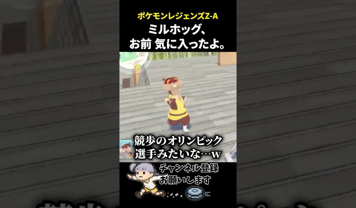 ミルホッグ、お前気に入ったよ。【#ポケモンレジェンズza 】