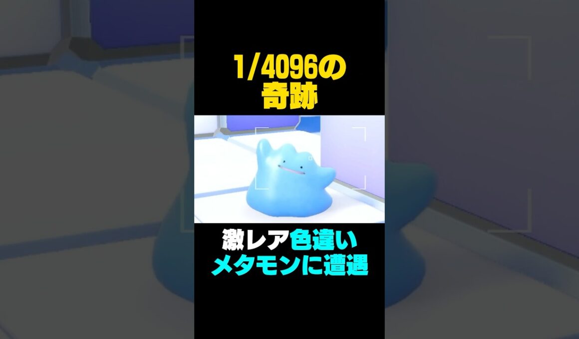 【ポケモンSV】色違いメタモンブロックに遭遇するなんて聞いてないw【ブルレク】 #ポケモンSV #メタモン #色違いメタモン #shorts #ブルレク