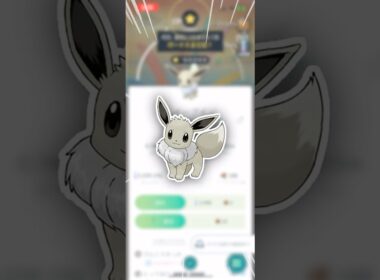 イーブイのまま、取っときたいんじゃ！【ポケモンGO】