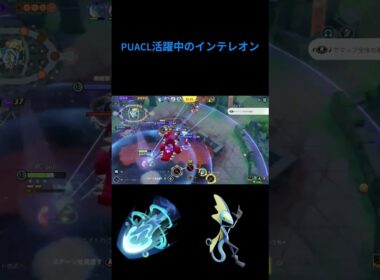 インテレオンが最近強いぞ！その理由とは、、、