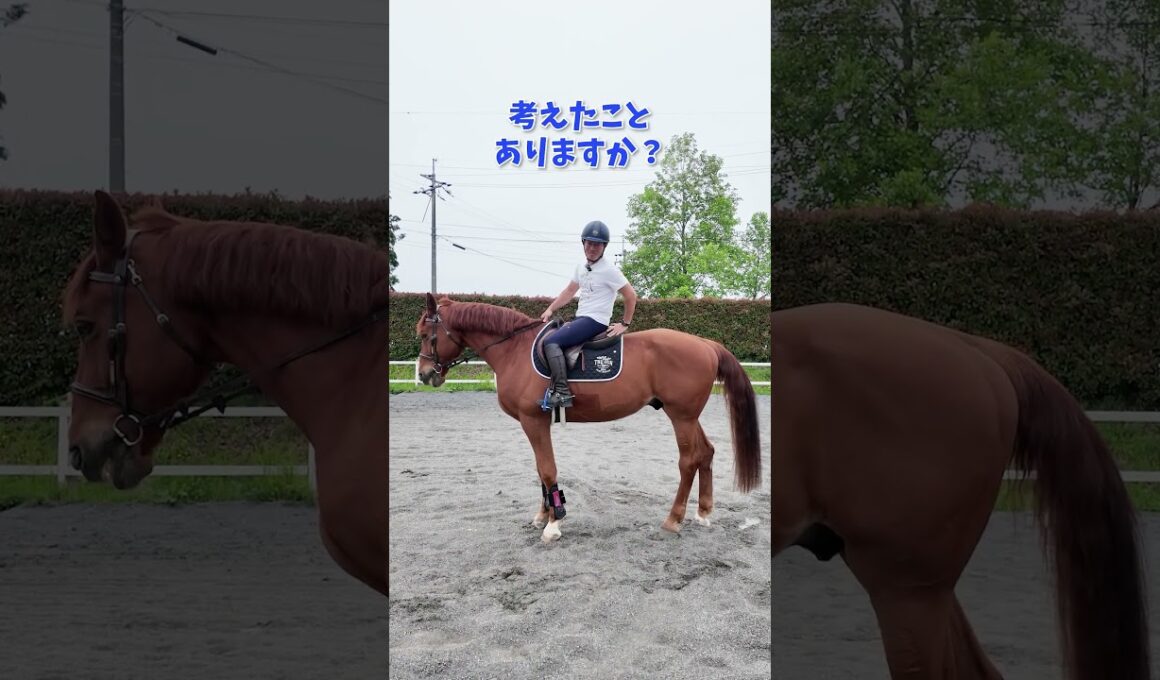 なぜあなたの馬は動かない！？