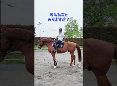 なぜあなたの馬は動かない！？