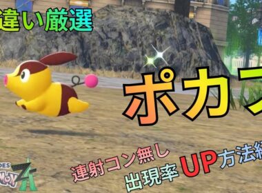 【ポケモンZA】色違いポカブ厳選！出現率UPの方法も紹介！
