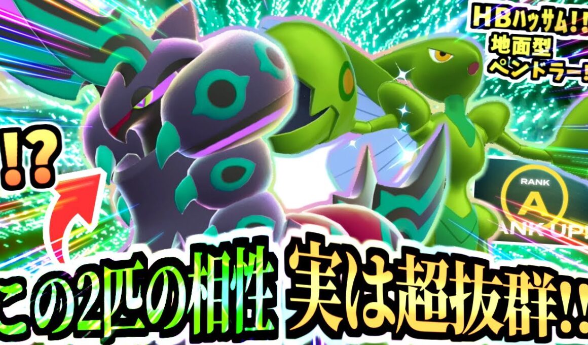 【ポケモンZA】この2匹良い‼『メガペンドラーとHBハッサム』でゼルネアス環境をぶっ壊す！ジガルデも！メガブリガロンどこ！【Pokémon LEGENDS Z-A /虫統一パ /ランクマ】