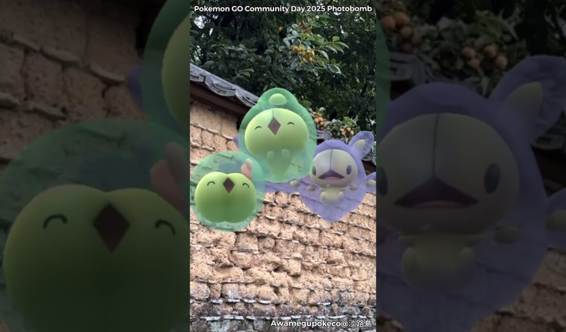 ユニラン｜Solosis｜ダブラン｜Duosion｜ランクルス｜Reuniclus｜ShinyPokémon【ポケモンGO】PoKeMoN GO AR｜AR動画｜GOsnapshot